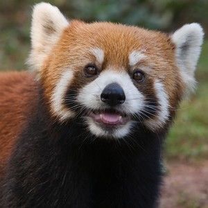 Meet your Posher, Juanita